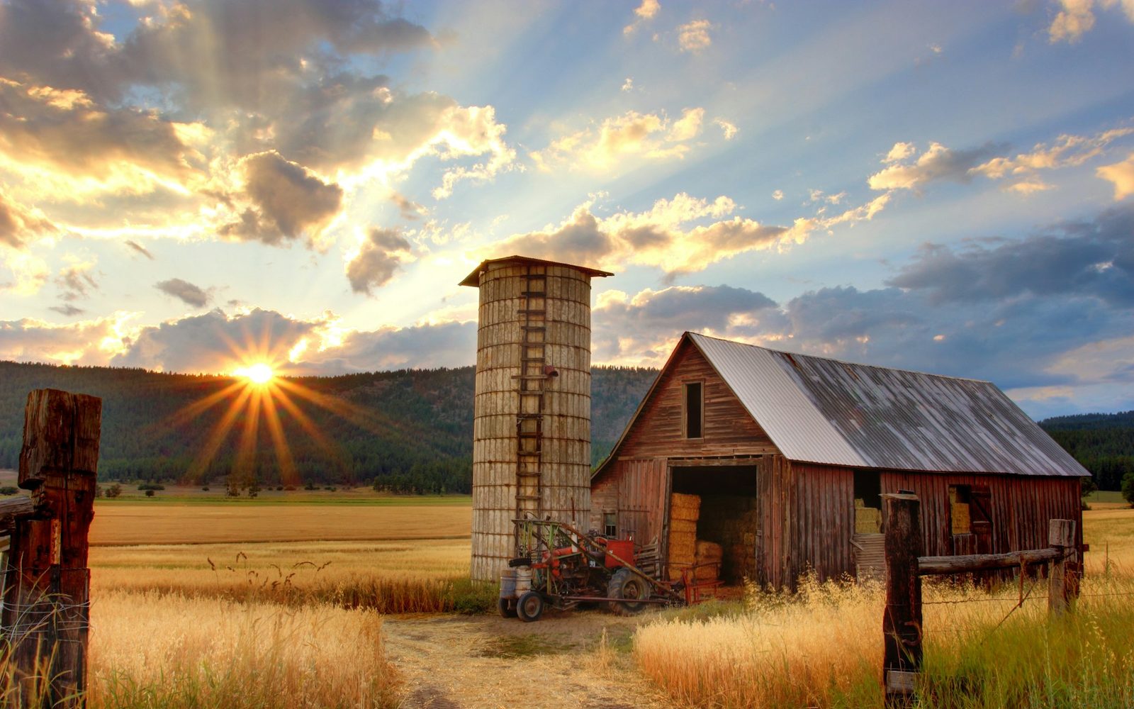 Campo rural